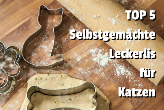 Top-5-Selbstgemachte-Leckerlis-für-Glückliche-Gesunde-Katzen CagillyPaw e.U.