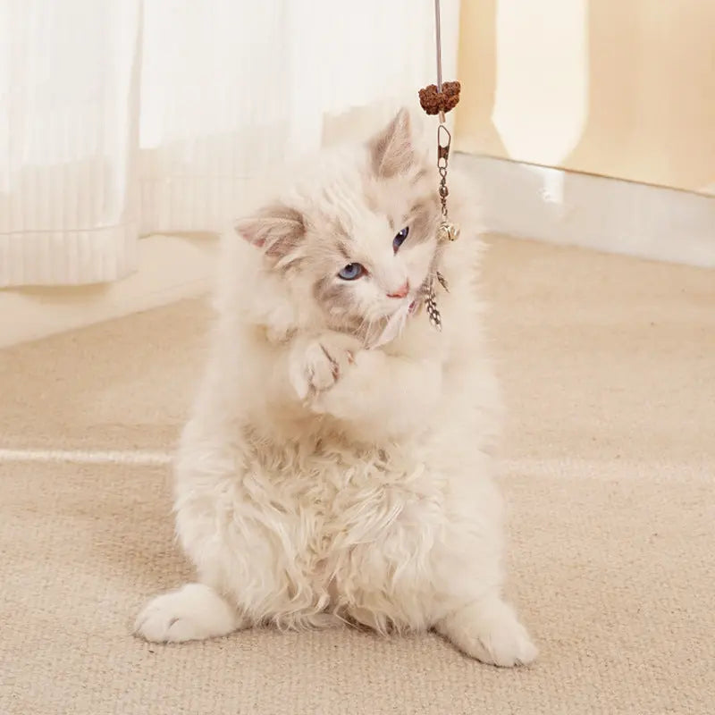 Lern-Futterspender für Katzen Product vendor