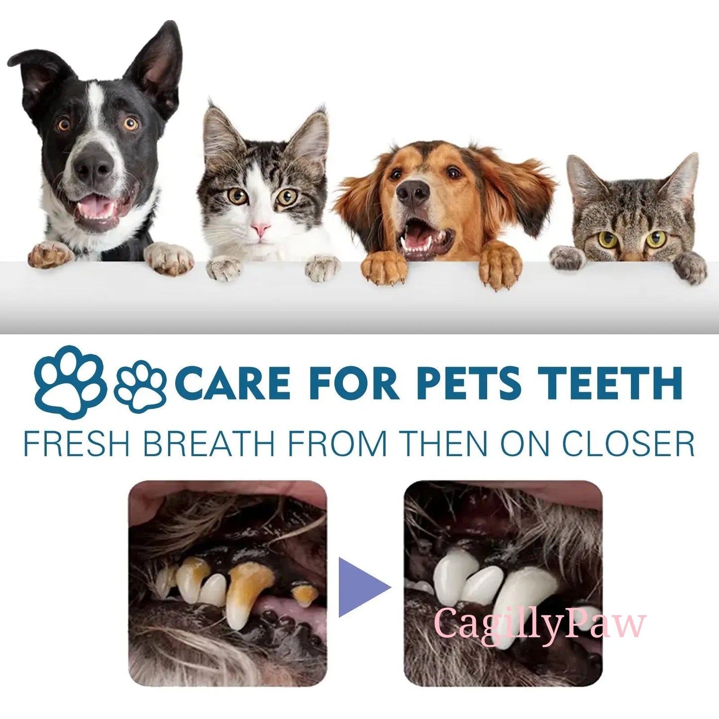 Katzenfrisch Mundspray - gegen Zahnprobleme & Mundgeruch Product vendor