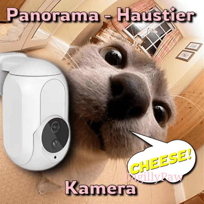Die Panorama-Haustierkamera bietet klare Bilder und einen breiten Blickwinkel, um Haustiere in Echtzeit zu überwachen und zu beobachten