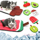Buy Now Summer Fruit Pet Cooling pads