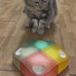 Kitten-Federfieber
